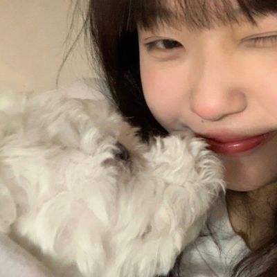 镜中的爱丽丝无限提示版下载